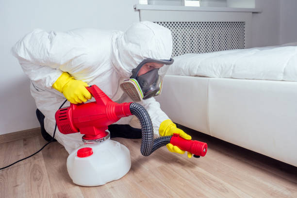 Best Bed Bug Extermination  in Homestead, PA