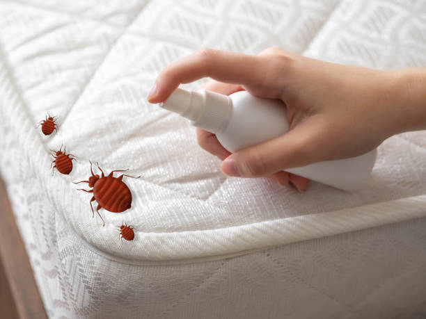 Pest Control Cost in Homestead, PA