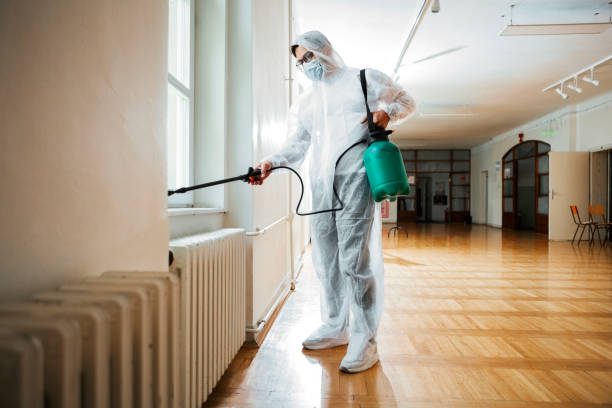Professional Pest Control in Homestead, PA